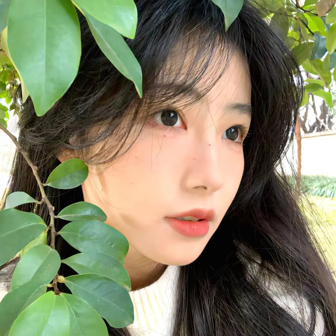 单身初恋日记